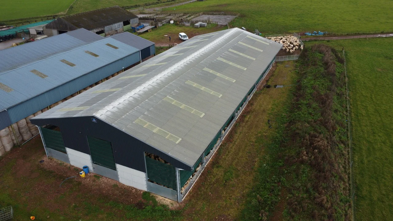 Steel Warehouse Building